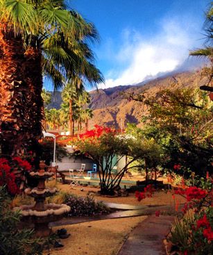 Palm Springs Jardin