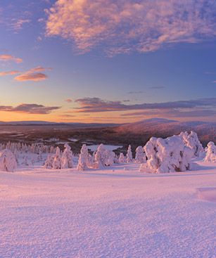 Kittila Paysage Neige Finlande
