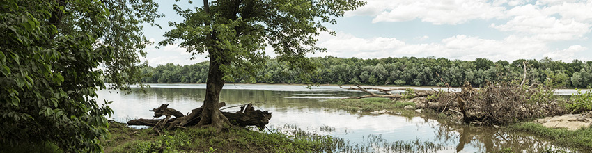Le Potomac