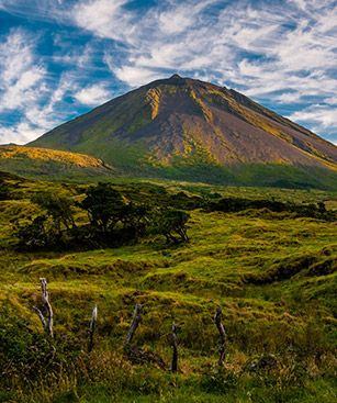 Pico