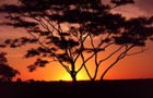 Afrique: Soleil 2
Vol Abidjan