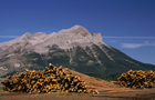 Alberta: Montagne
Vol Edmonton
