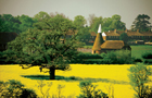 Angleterre: Kent
Vol East Midlands