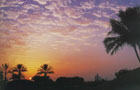 Emirats Arabes Unis: Coucher de Soleil
Vol Abou Dhabi