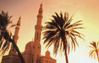 Emirats Arabes Unis: Palmier
Vol Abou Dhabi