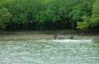 Kenya: Fleuve
Vol Nairobi