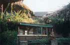 Kenya: Maison
Vol Nairobi