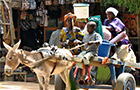 Bamako: Centre ville
Vol Bamako