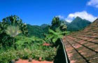 Martinique: Toit
Vol Fort-de-France