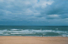 Massachusetts: Cape Cod
Vol Boston