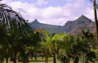 Ile Maurice: Montagne
Vol Port Louis