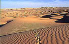 Niger: Désert Sahara
Billet avion Niger