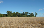 Picardie: Le Crottoy
Vol Beauvais