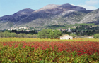 Provences Alpes Côte d'Azur: Provence
Vol Marseille