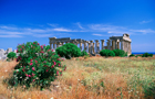 Sicile: Selinunte
Vol Catane