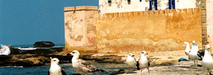 Marrakech
