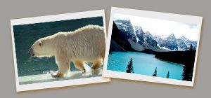 vol destination alberta