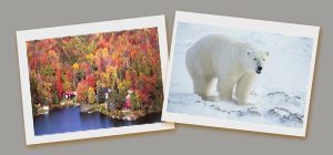 vol destination manitoba