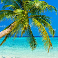 George Town Bahamas