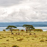 Nairobi