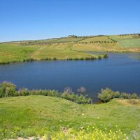 Tlemcen