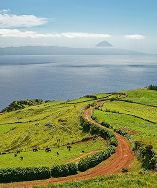 Ile de São Jorge