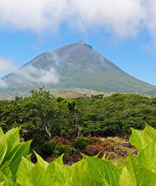 Pico Volcan 02