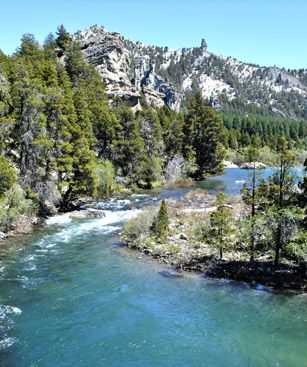 Comodoro Rivadavia Riviere Foret