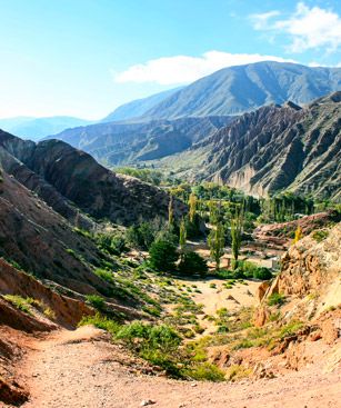 Salta Desert