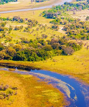 Maun Okavango Delta