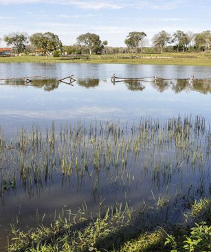 Campo Grande Lac Etang