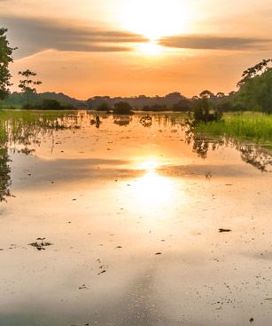 Porto Velho Amazon River