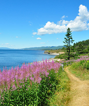 Gaspe Canada Parc Am