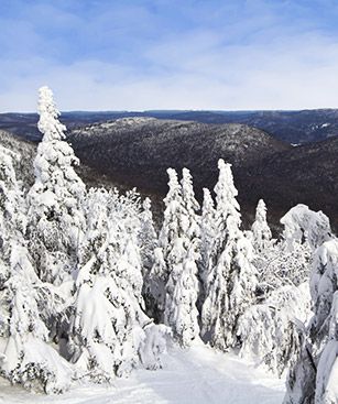 Mont Tremblant Montagne Neige Quebec Canada