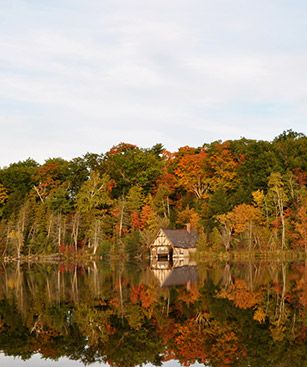 Sudbury Ontario Cabane Arbres Automne Lac Canada