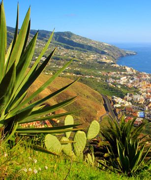 La Palma Vue Aerienne Cote