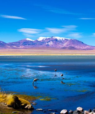 Copiapo Salar De Tara