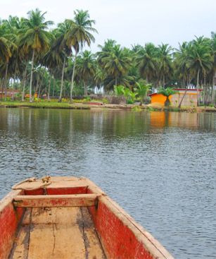 Abidjan Palmiers Riviere