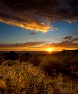 Albuquerque Desert