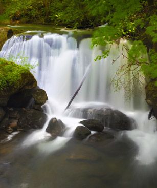 Bellingham Chutes Whatcom