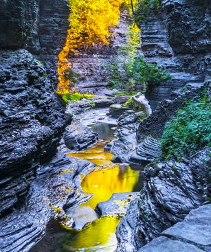 Binghamton Parc Watkins Glen Gorge Ruisseau