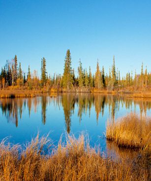 Fairbanks Riviere Chena