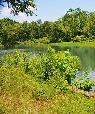 Fort Smith Parc Lac Prairie