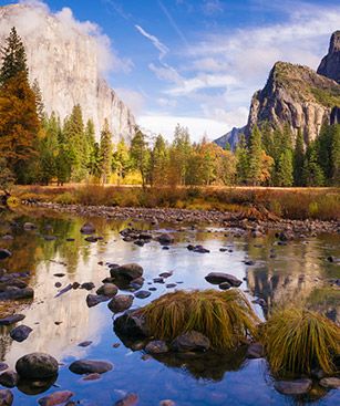 Fresno Parc National Yosemite