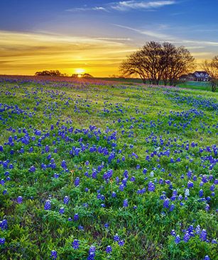 Lubbock