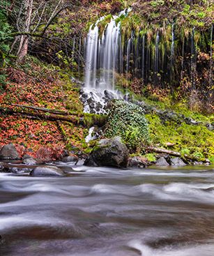 Modesto Cascade