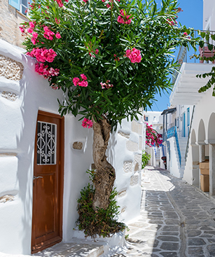 Paros Rue Grece