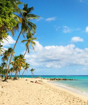 Marie Galante Plage Feuillere