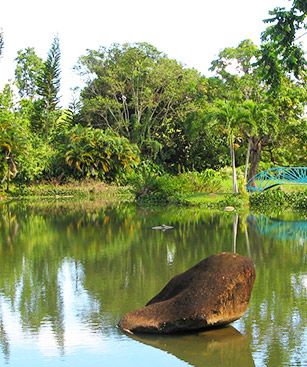 Pointe A Pitre Jardin Blonzac