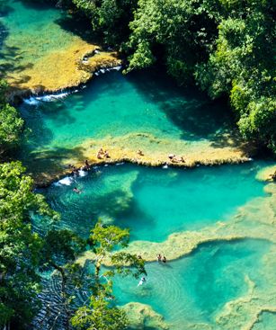 Flores Piscine Naturelle De Semuc Champey